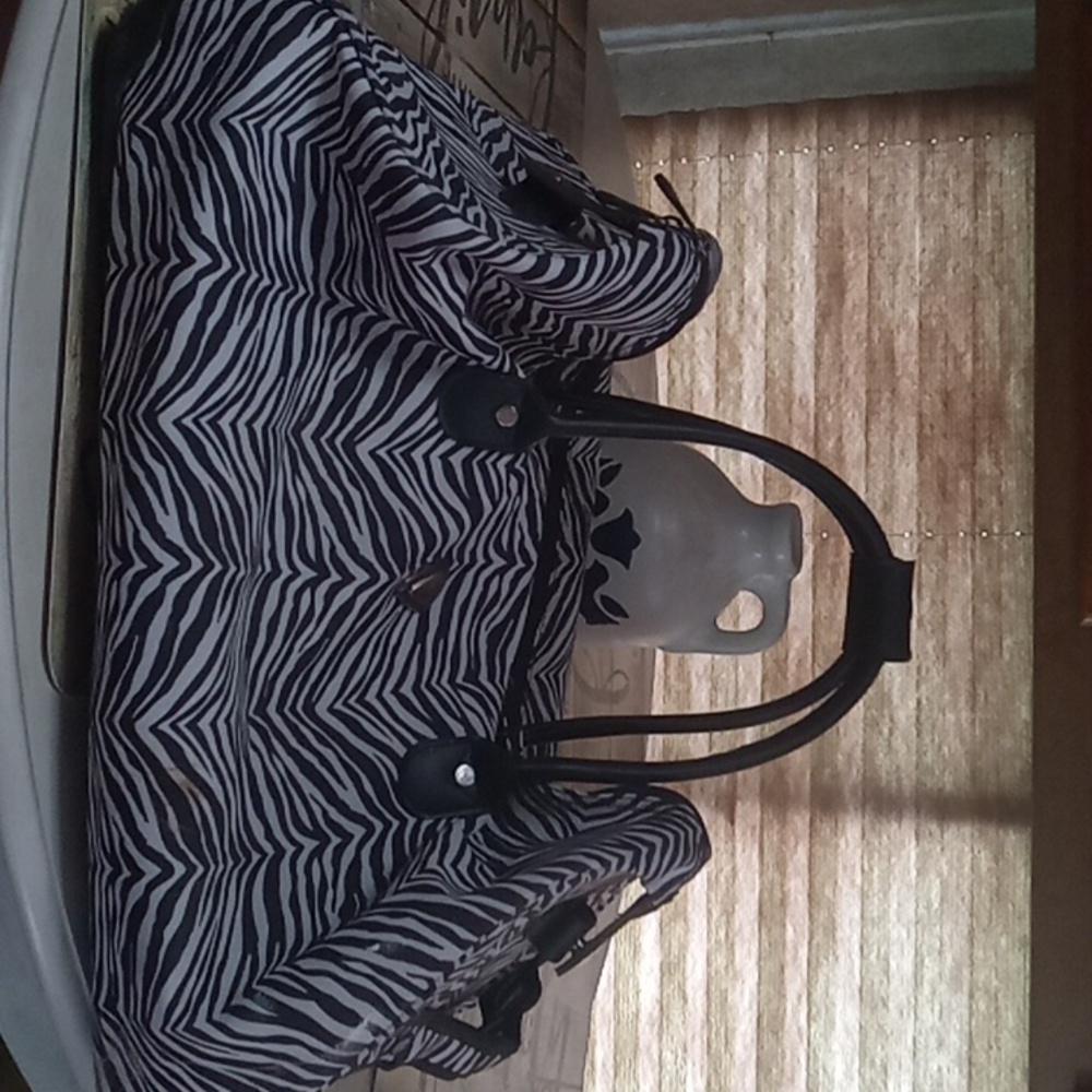 Calpak Carry bag